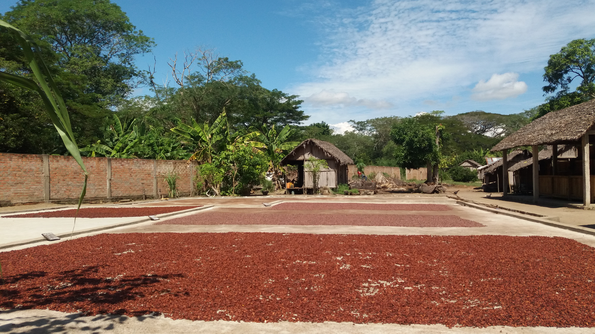 Madagascar filière cacao